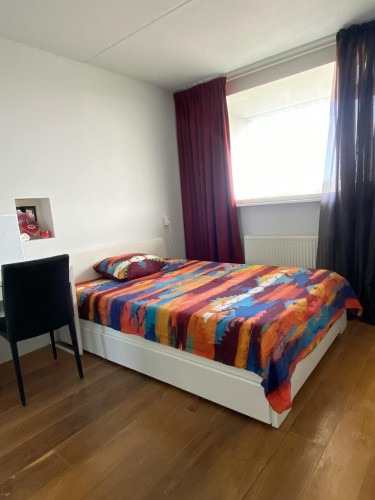 Fleerde, Amsterdam
