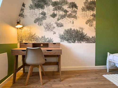 Rue des Franciscains, Mulhouse  - Gallery -  5