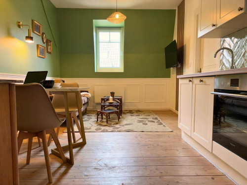 Rue des Franciscains, Mulhouse - Gallery - 10