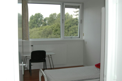 Roland Holstlaan, Delft