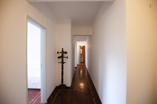 Nice and comfy single bedroom in Paço de Arcos