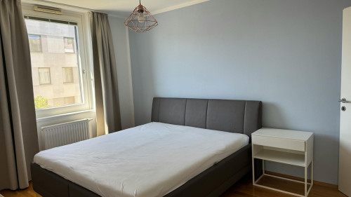 Nippongasse, Vienna  - Gallery -  5