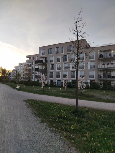 Maria-Arndts-Straße, Munich
