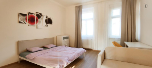 Excellent studio near the Kačerov transport station