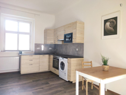 Excellent studio near the Kačerov transport station