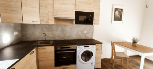 Excellent studio near the Kačerov transport station