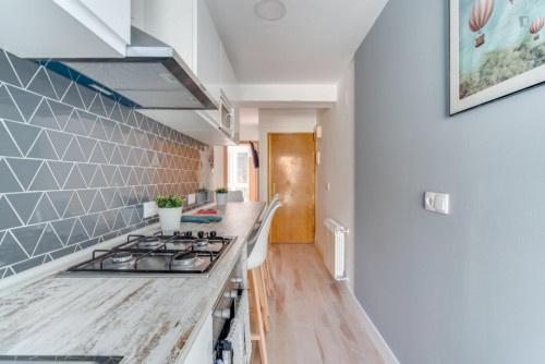 Chic double bedroom in a 4-bedroom apartment near Parque Agustín Rodríguez Sahagún