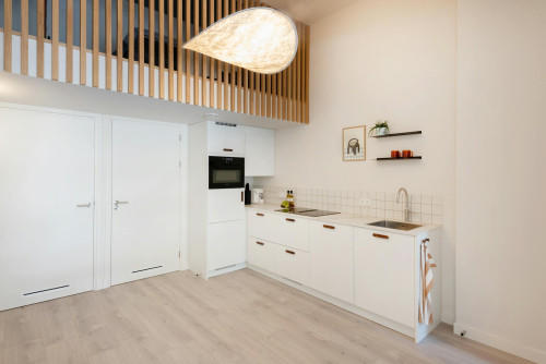 Laan van Nieuw Oosteinde, Voorburg  - Gallery -  5