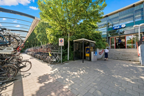 Van Halewijnlaan, Voorburg - Gallery - 6