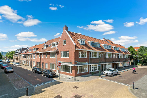 Van Halewijnlaan, Voorburg