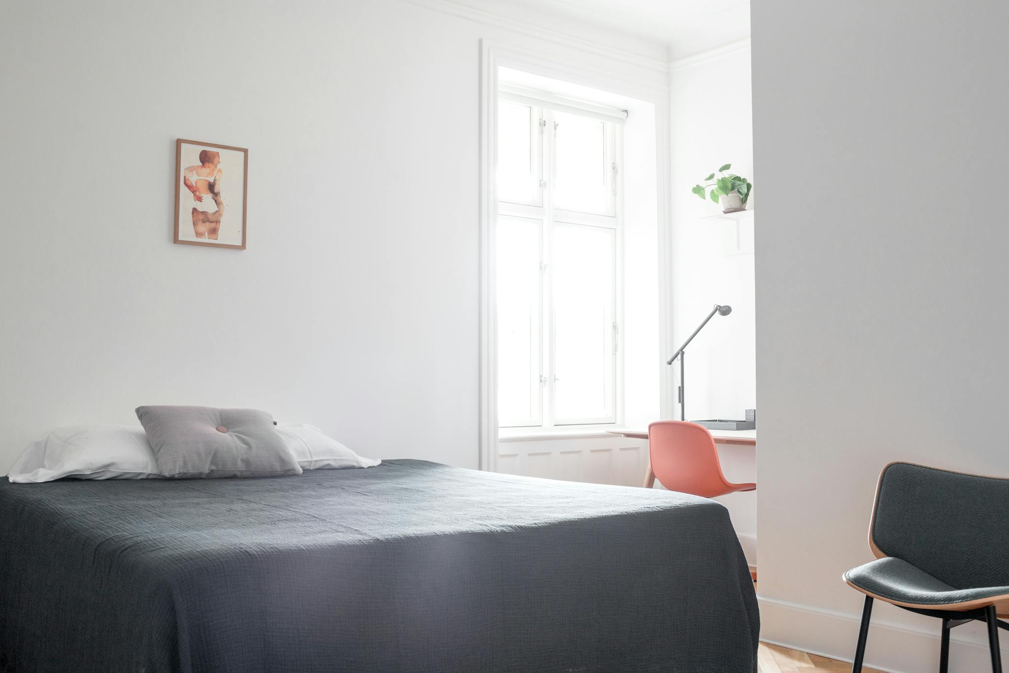  Private Room  -  Livjægergade, København  - Gallery -  1
