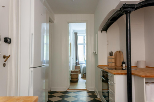 Skindergade, København - Gallery - 6