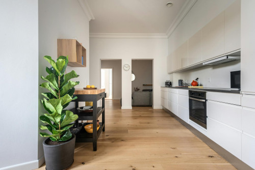 Nørrebrogade, København - Gallery - 10