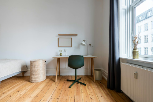 Nørrebrogade, København