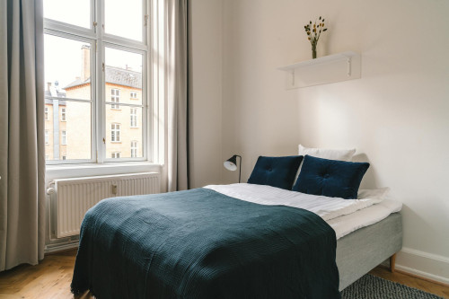 Vester Voldgade, København