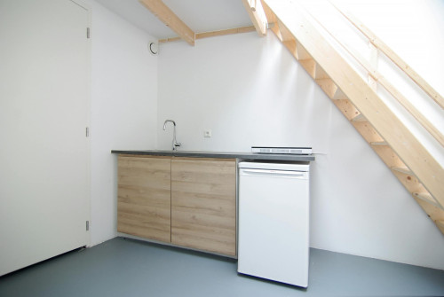 Meer en Houtplein, Lisse - Gallery - 6
