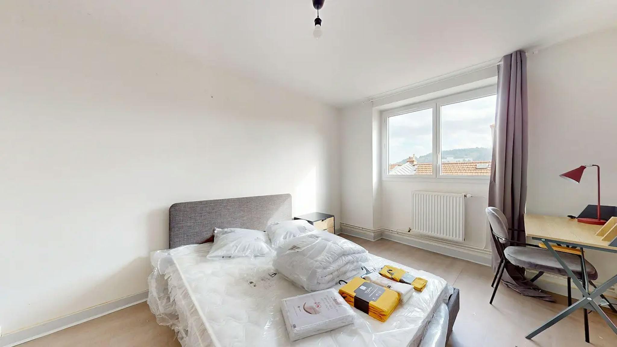 Private Room - Rue du Frère Maras, Saint-Étienne - Gallery - 1