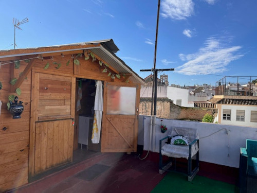 Calle Carlos Rubio, Córdoba - Gallery - 5