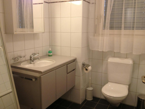 Watterstrasse, Regensdorf - Gallery - 9