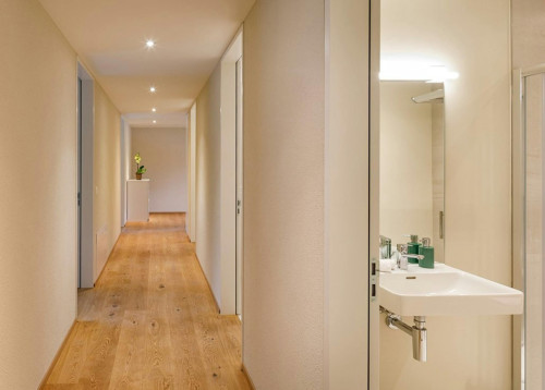 Hamelirainstrasse, Kloten - Gallery - 6