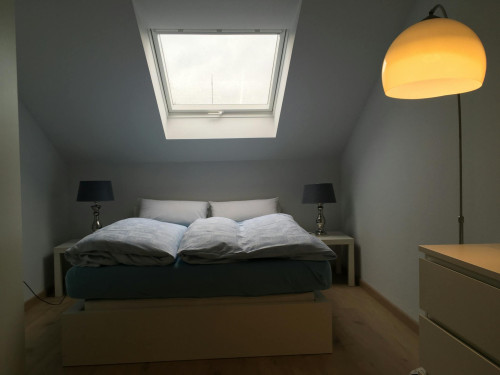 Am Fuhrweg, Sankt Ingbert - Gallery - 6