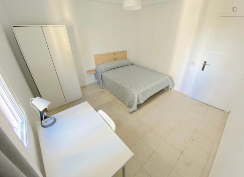 Premium sunny room near center with double bed, WIFI and TV for students