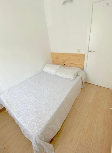 Sunny room near center with double bed, WIFI and TV for students