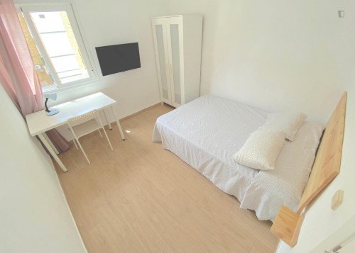 Premium sunny room near center with double bed, WIFI and TV for students
