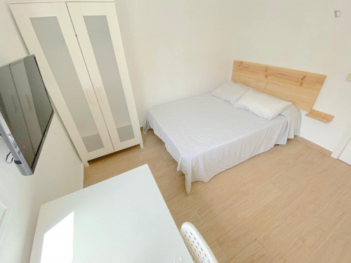 Premium sunny room near center with double bed, WIFI and TV for students