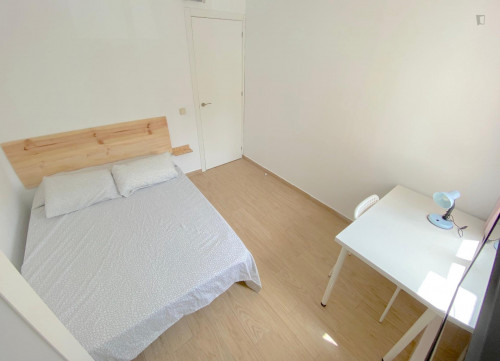 Premium sunny room near center with double bed, WIFI and TV for students