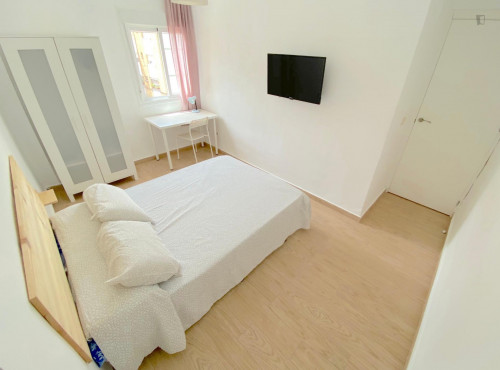 Premium sunny room near center with double bed, WIFI and TV for students