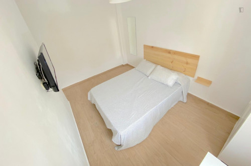 Premium sunny room near center with double bed, WIFI and TV for students
