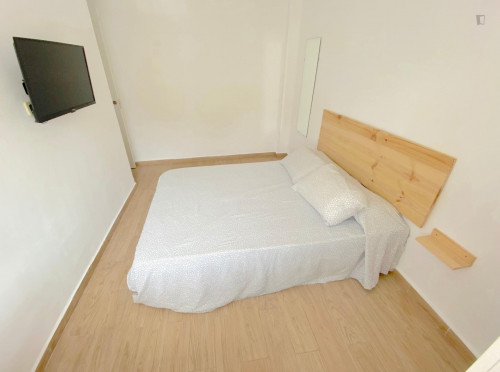 Premium sunny room near center with double bed, WIFI and TV for students