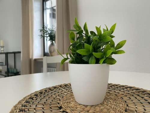 Am Härenberg, Königswinter - Gallery - 6
