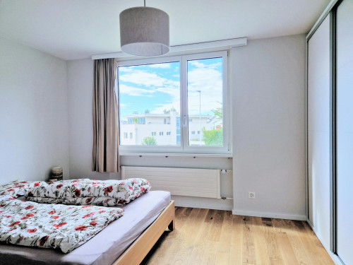 Schmittenackerstrasse, Wallisellen - Gallery - 6