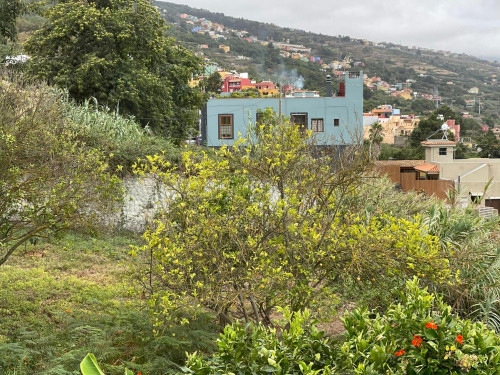 Carretera General del Norte, La Orotava - Gallery - 9