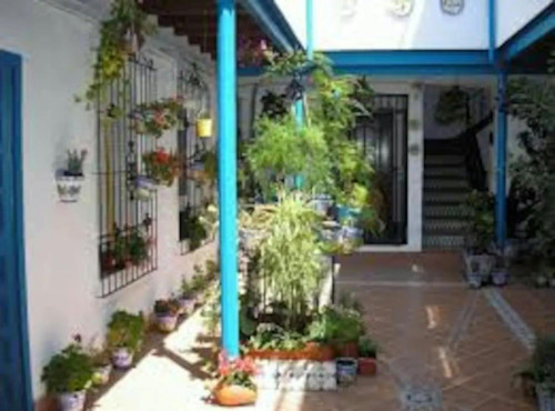 Calle Pintor Bermejo, Córdoba