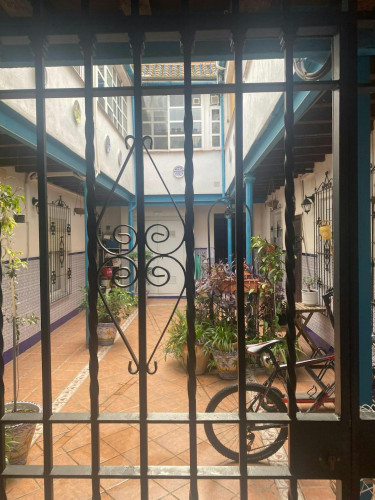 Calle Pintor Bermejo, Córdoba - Gallery - 5