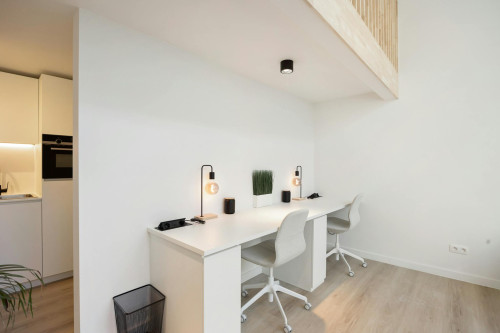 Venusstraat, Antwerpen  - Gallery -  5