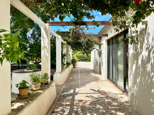Carrer de Can Sunyer, Illes Balears
