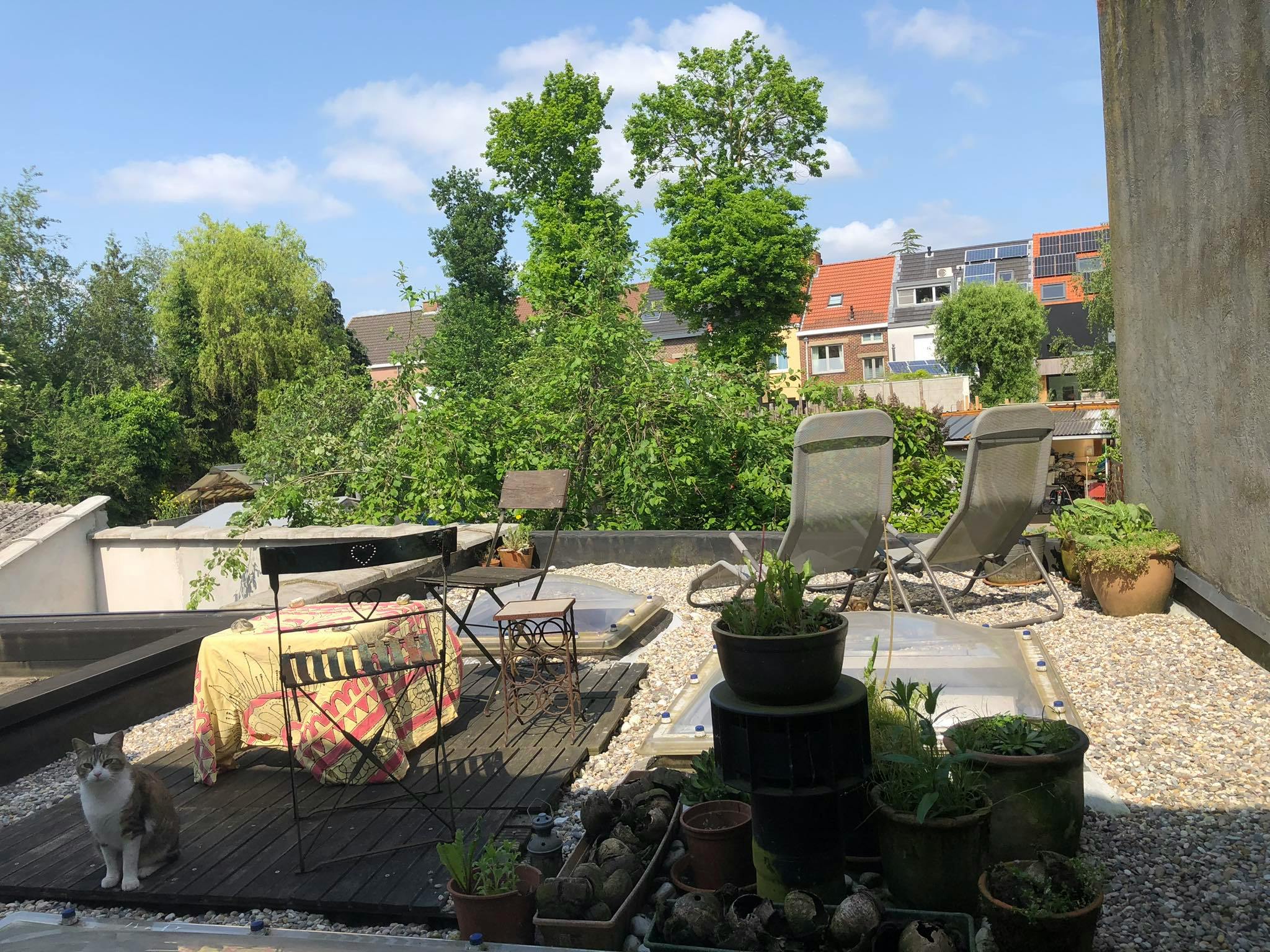  Entire Place  -  Hundelgemsesteenweg, Gent  - Gallery -  1