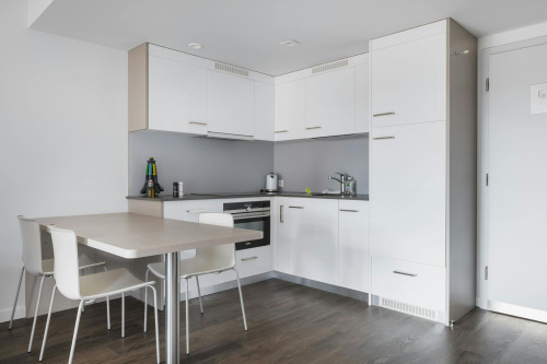 Rue Jules Gachet, Nyon  - Gallery -  5