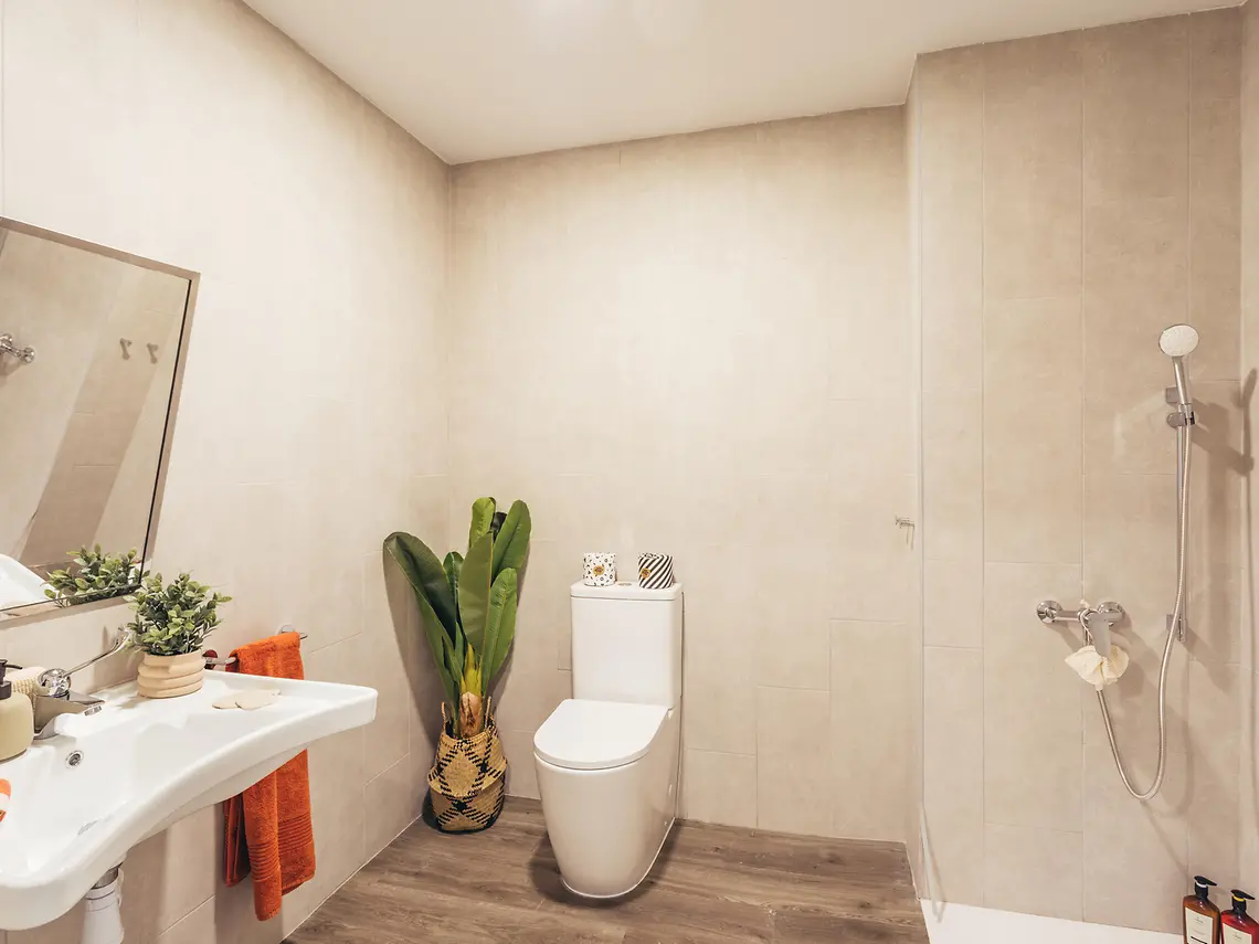  Executive Studio  -  Palm Studios  - Gallery -  8