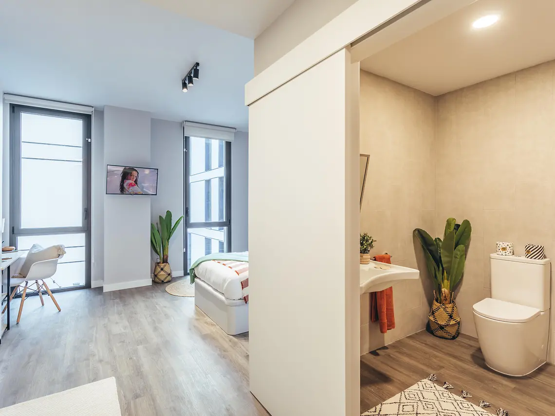  Executive Studio  -  Palm Studios  - Gallery -  7