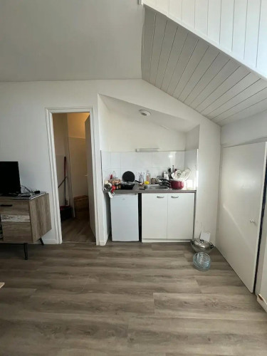 Avenue Lacassagne, Lyon  - Gallery -  5