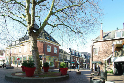 Meer en Houtplein, Lisse - Gallery - 7