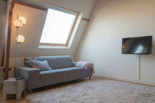 1e Sweelinckstraat, The Hague - Gallery - 10