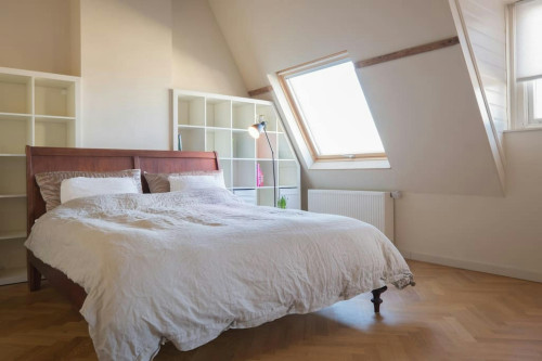 1e Sweelinckstraat, The Hague - Gallery - 9
