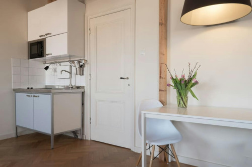 1e Sweelinckstraat, The Hague - Gallery - 5
