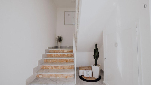 Homely 1-bedroom flat in Monopoli